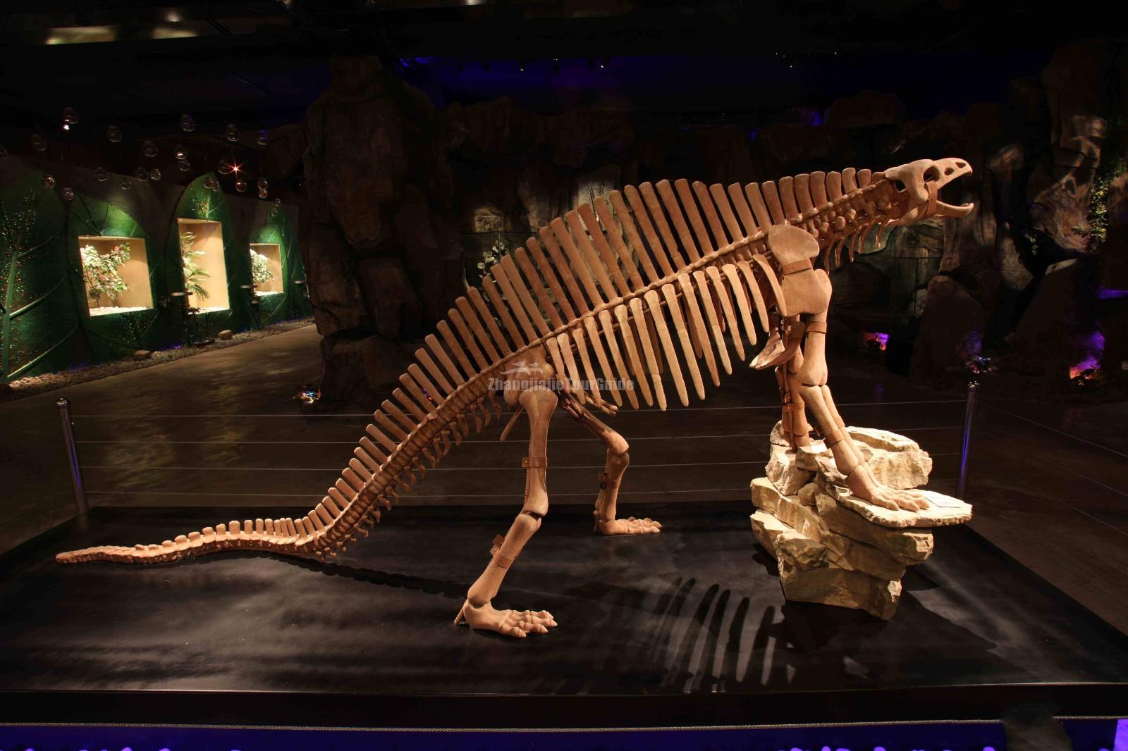 China Giant Salamander Bio-Tech Museum