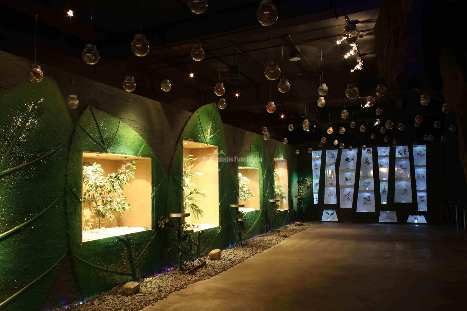 China Giant Salamander Bio-Tech Museum