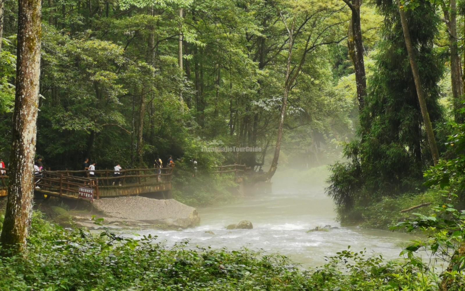 Zhangjiajie Golden Whip Stream