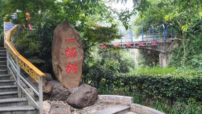 One Tree Viewing Platform