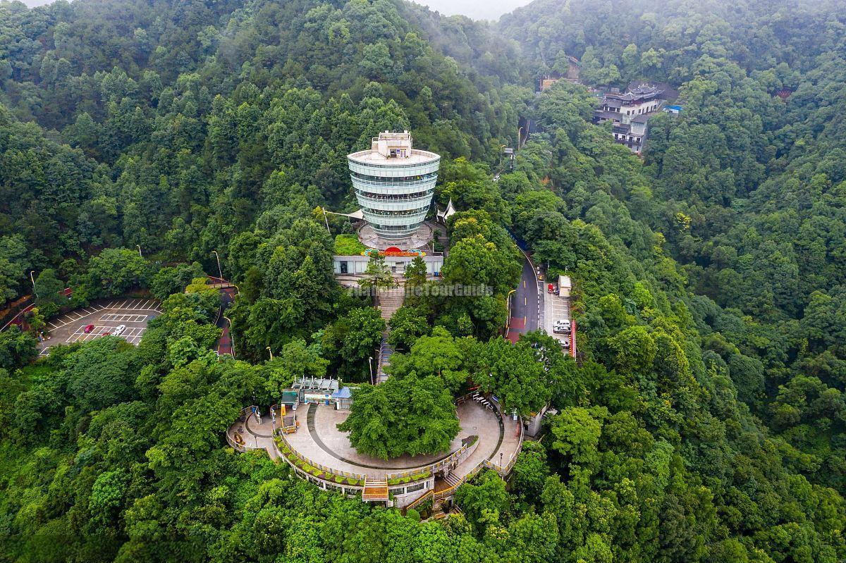 One Tree Viewing Platform