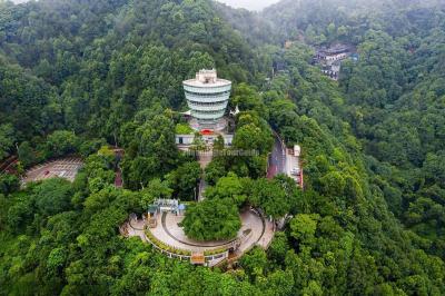 One Tree Viewing Platform
