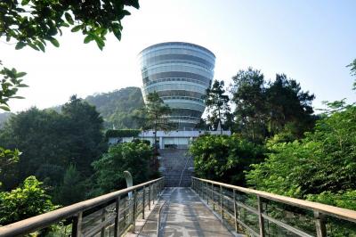 One Tree Viewing Platform