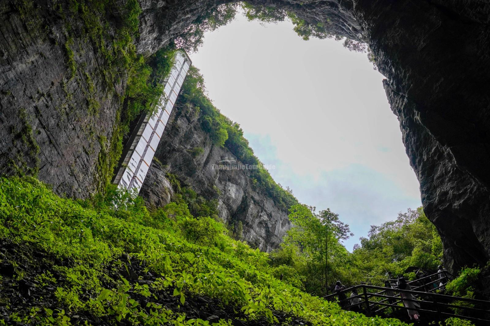 Three Natural Bridges