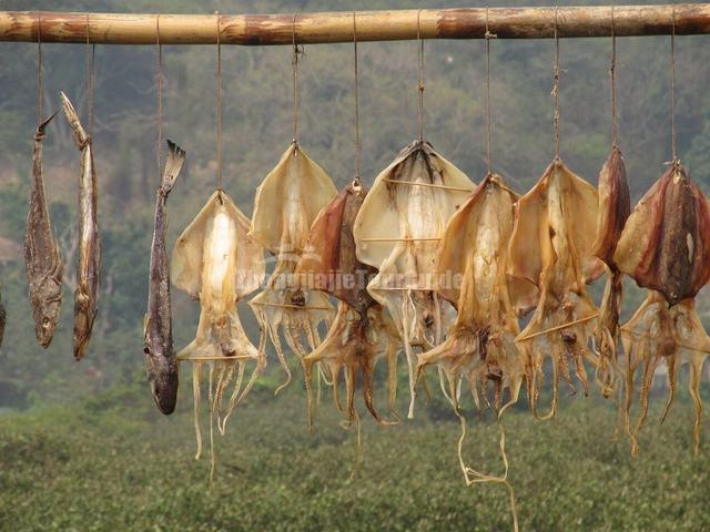 Tai O Fishing Village Salted Fish Hong Kong