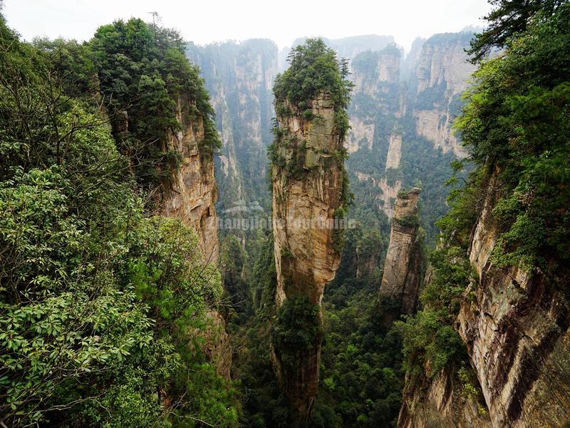 China Avatar Hallelujah Mountain