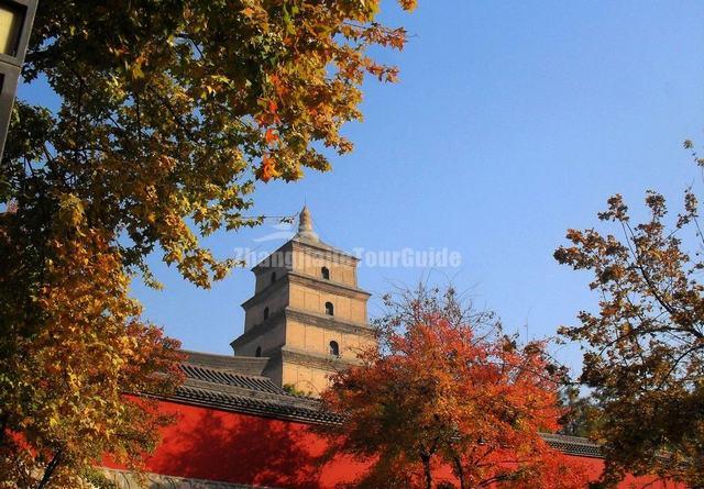 Big Goose Pagoda Beautiful Autumn Scenery Xian China