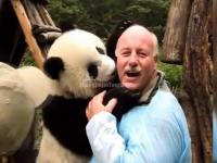 Chengdu Research Base of Giant Panda Breeding
