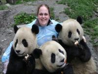 Chengdu Research Base of Giant Panda Breeding