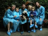 Chengdu Research Base of Giant Panda Breeding