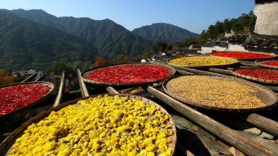 Huangling Village