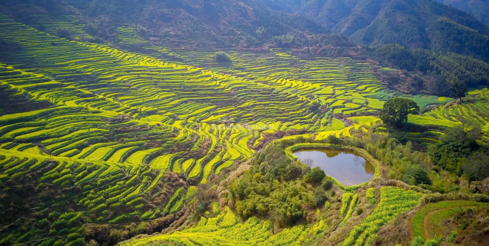 Huangling Village