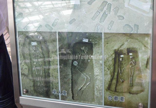 Jin Sha Site Museum Tomb Type
