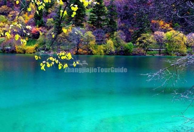 Jiuzhaigou Valley Autumn