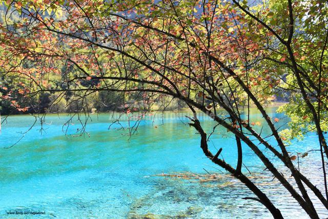 Jiuzhaigou Charming Lake