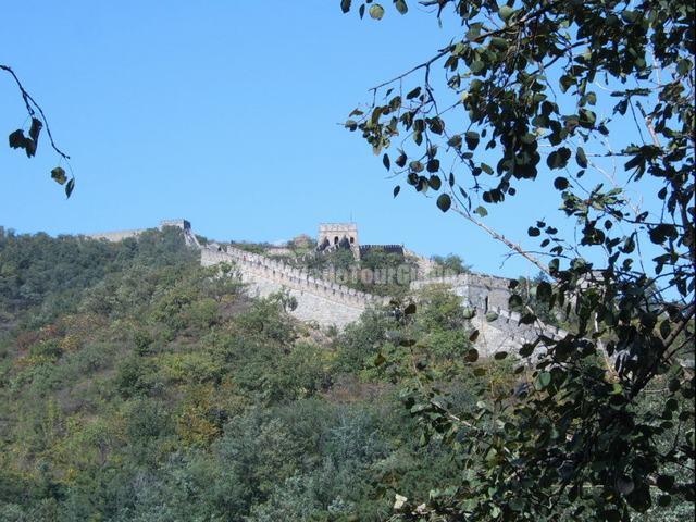 Mutianyu Great Wall Charming Landscape
