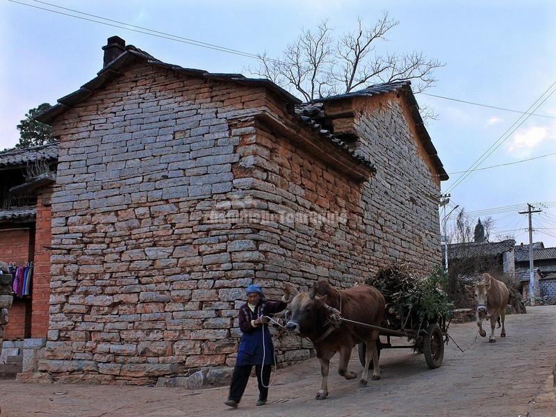 Nuohei Village