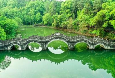 Peach Blossom Garden