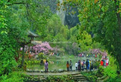 Peach Blossom Garden