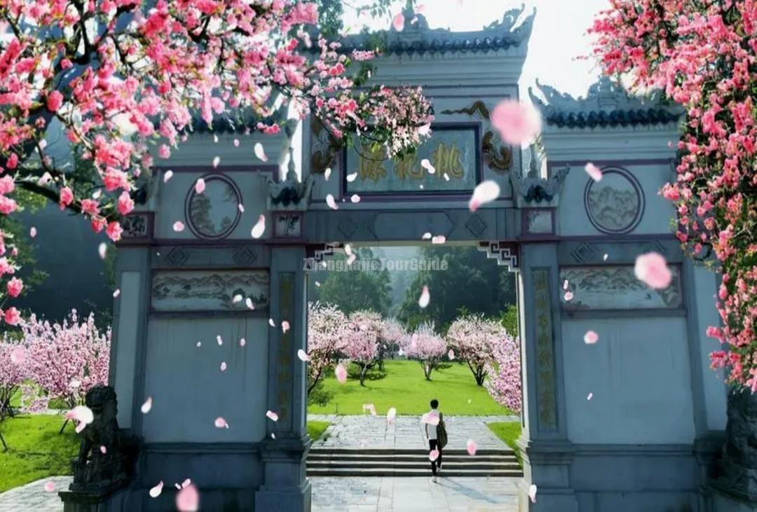 Changde Peach Blossom Garden