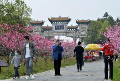Peach Blossom Garden