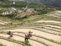 Ping'an Zhuang Village