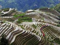 Ping'an Zhuang Village