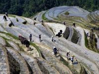 Ping'an Zhuang Village