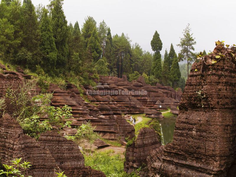 Red Stone Forest National Geopark 