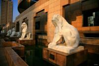 Shanghai Museum Beautiful Animal Stone Sculpture