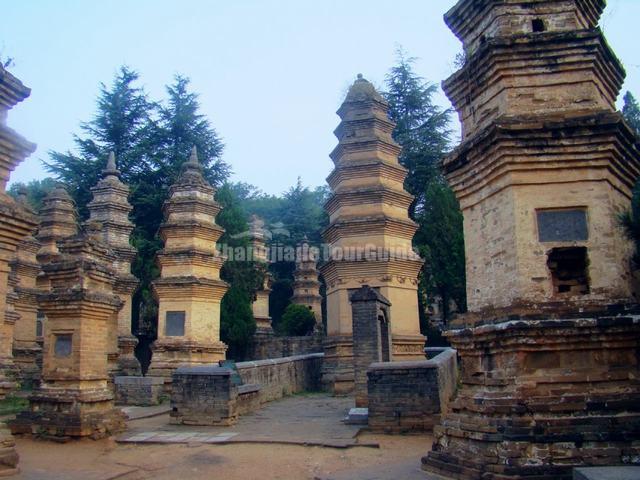 Shaolin Temple Attractive Pagoda Forest Zhengzhou