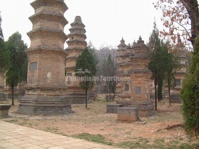 Shaolin Temple Pagoda Forest Zhengzhou