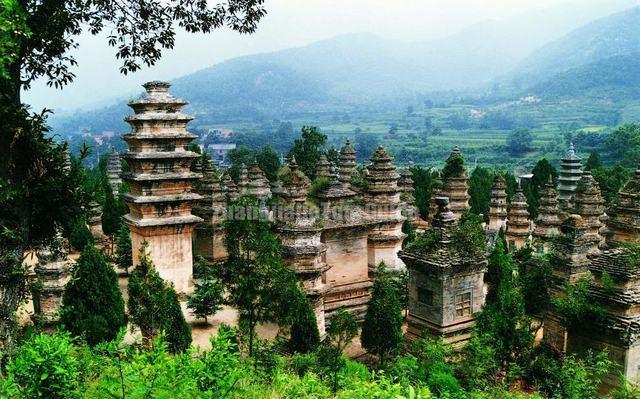 Pagoda Forest