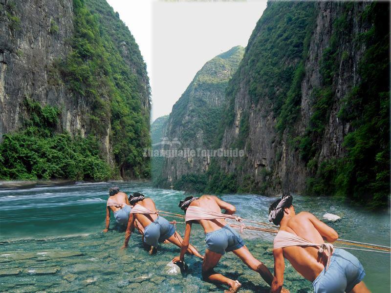 Shennv Stream