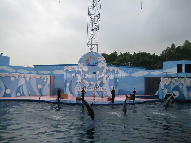 Shenzhen Safari Park Dolphin Show
