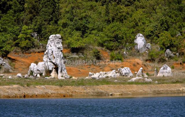Stone Forest Beautiful Scenery China