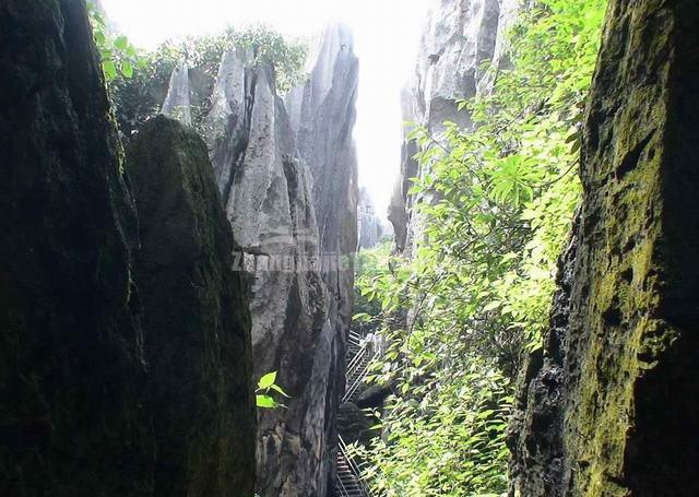 Stone Forest Plank Road Kunming