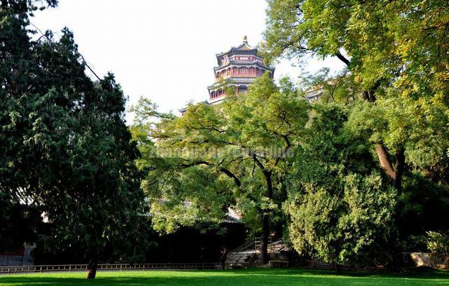 Summer Palace Landscape Beijing
