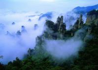 Suoxi Valley Nature Reserve Zhangjiajie