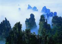 Scenery at Zhangjiajie Suoxi Valley Nature Reserve