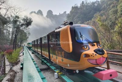 Ten-mile Natural Gallery - mini tram