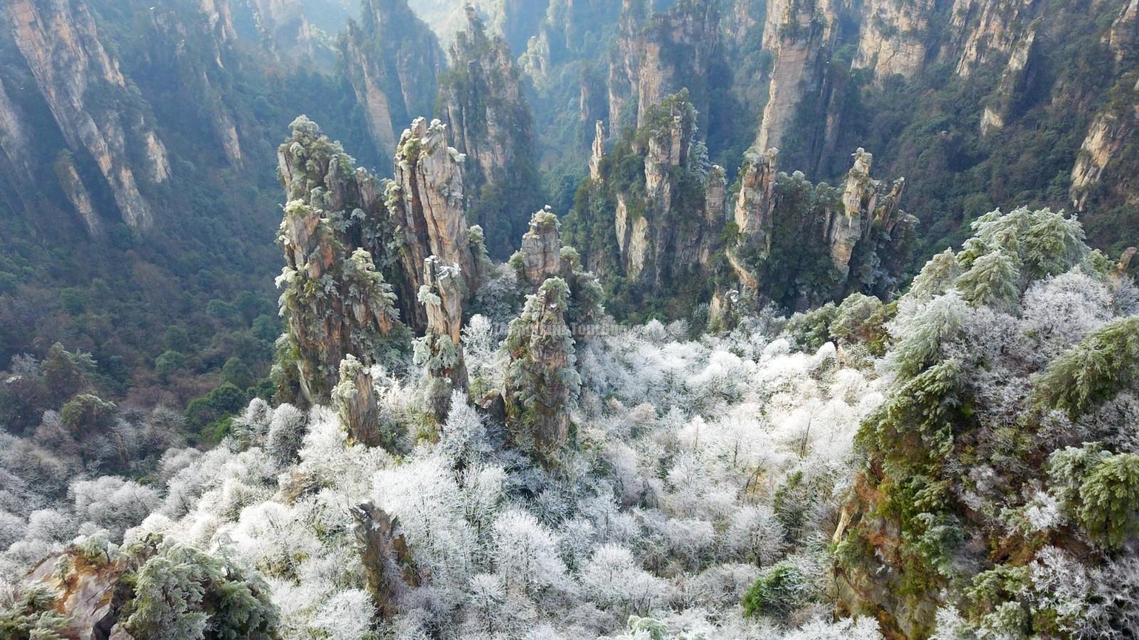 Tianzi Mountain
