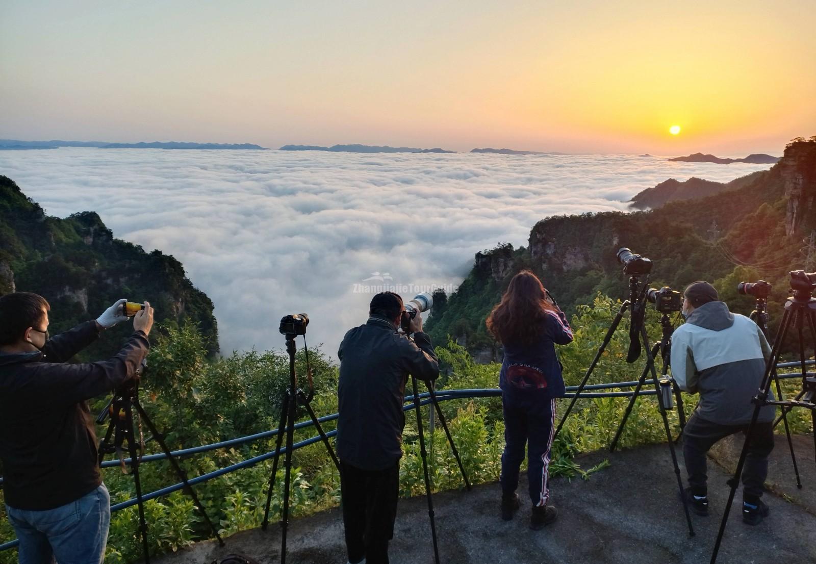 sea of clouds in Tianzi Mountain