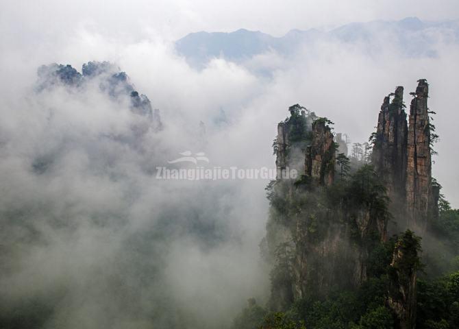 Tianzi Mountain