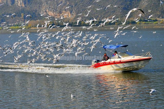 Boating on Dian Lake China