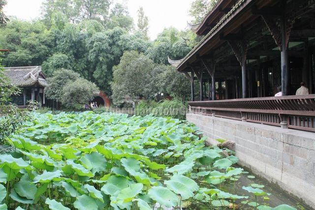 Wuhou Memorial Temple Lotus Pond