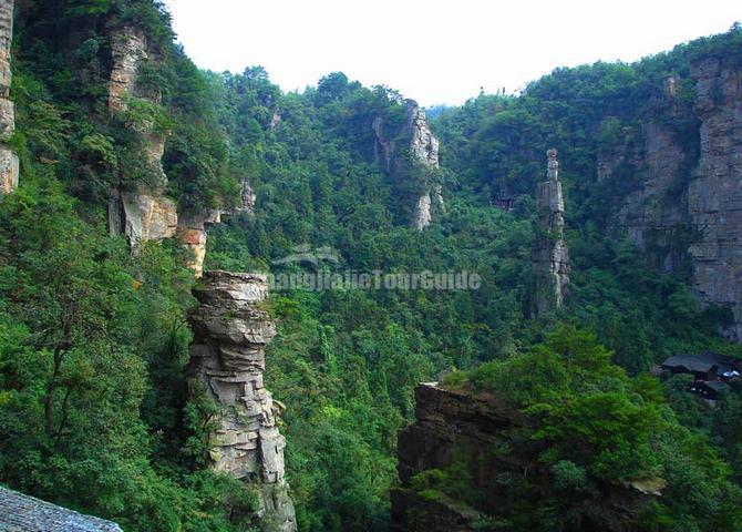 Wulong Village