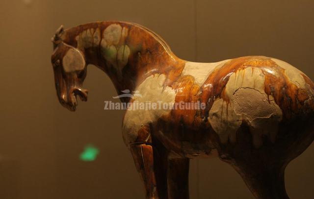Xian Musuem Horse Exhibit