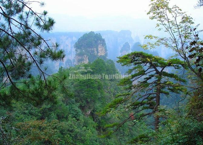 Yaozi Village at Zhangjiajie National Forest Park China