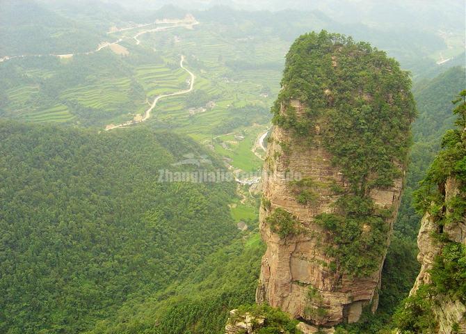 Yaozizhai Scenic Area Zhangjiajie